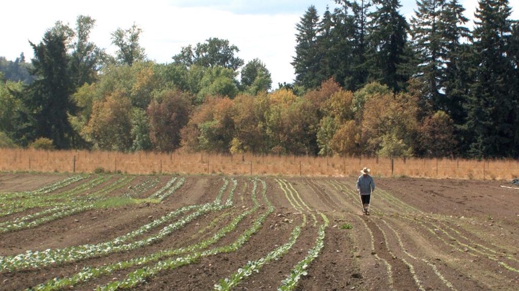 Keeping Farmers on Farmland pursuing creative strategies to protect