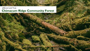 Chimacum Creek Jefferson Land Trust